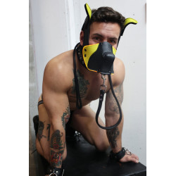 Breedwell Masque Poundtown Pup Breedwell Noir-Jaune